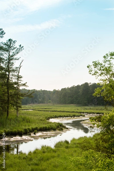 Obraz tidal marsh junction breakwater trail