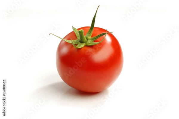 Obraz tomato isolated on white backgroun