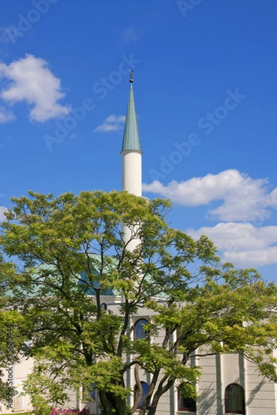 Fototapeta Moschee in Wien