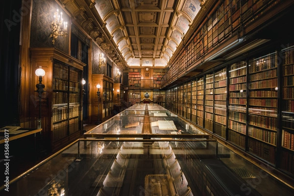 Obraz A beautiful library with books and displays