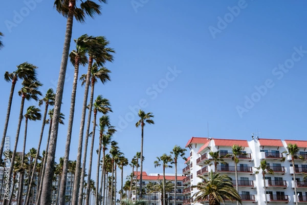 Obraz 神奈川県の逗子マリーナ