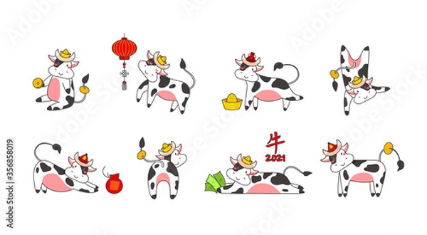 Fototapeta Chinese new year of white ox 2021 zodiac - vector set bulls or cows, flat cartoon animals for holiday cards, posters and home decorations, cute characters with golden coins - isolated on white