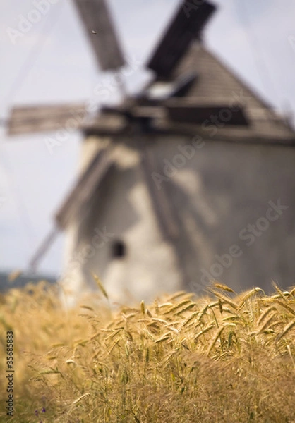 Fototapeta Windmill