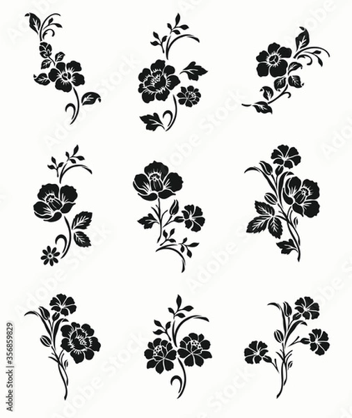 Fototapeta set of floral elements