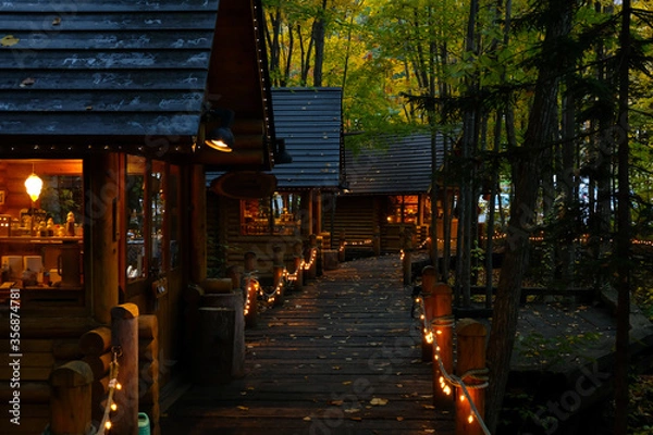 Fototapeta 北海道富良野のテラス