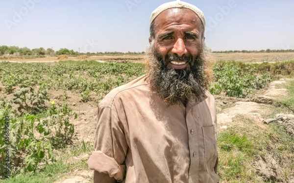 Fototapeta a pakistani farmer with beard working in vegetable fields and smiling 