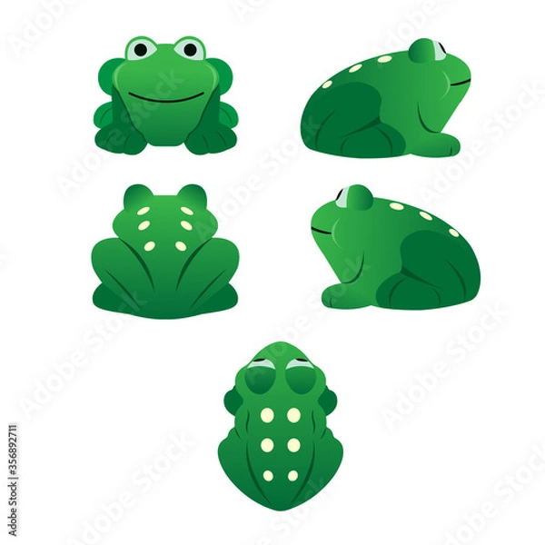 Fototapeta Collection of green frogs top view, front, left, right and back set cartoon vector set on a white background