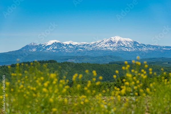 Obraz 北海道・十勝岳を臨む