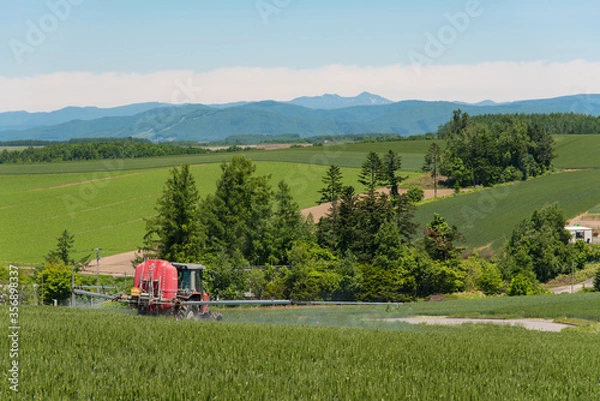Obraz 北海道の広大な畑で農薬散布する