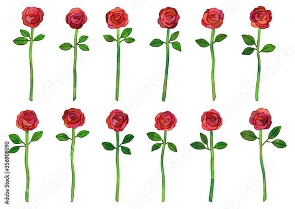 Fototapeta ベクター　12本の赤いバラのイラスト　ダーズンローズ