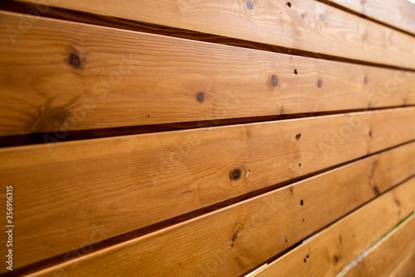 Obraz wood texture background