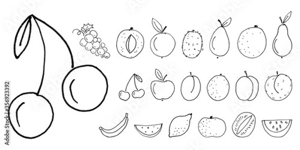 Fototapeta children felt-tip pen hand drawn line black fruits, set of liner objects isolated on white background, stock vector illustration clip art