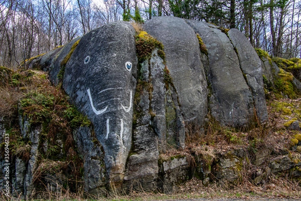 Obraz Elephant Rock