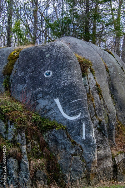 Obraz Elephant Rock