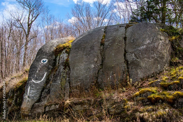 Obraz Elephant Rock