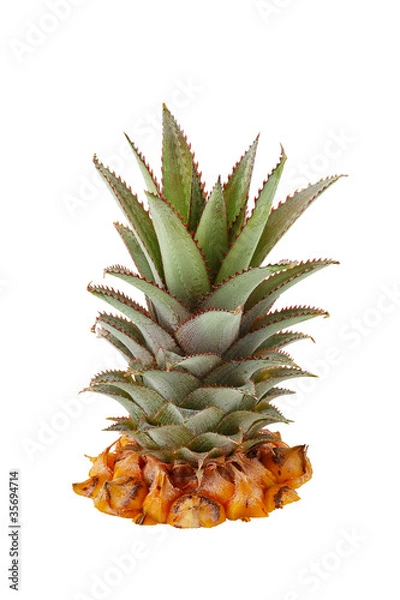 Fototapeta Fresh pineapple crown