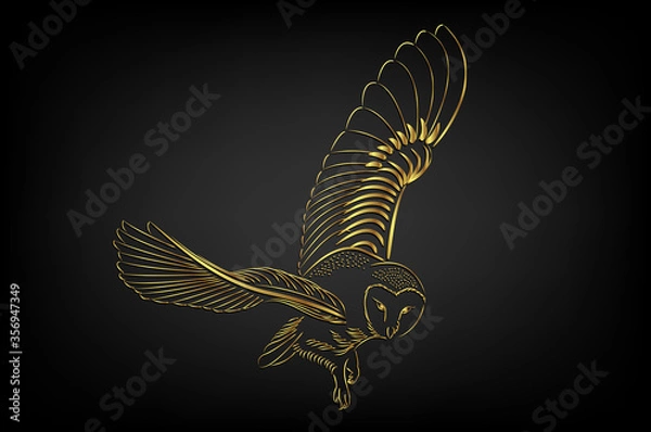 Obraz Barn owl flying over black background