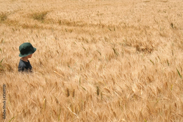 Obraz L'enfant dans le champs