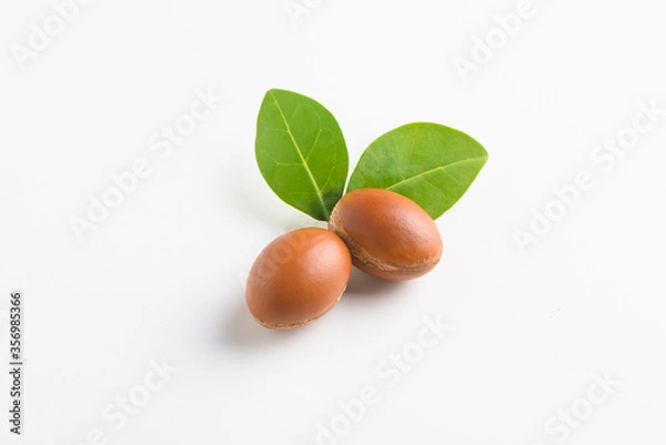 Obraz Argan nuts with fresh leave