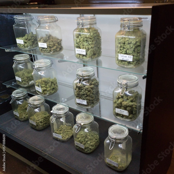 Obraz Jars of marijuana strains