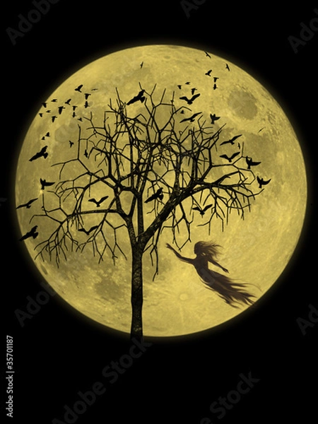 Obraz Midnight ghost