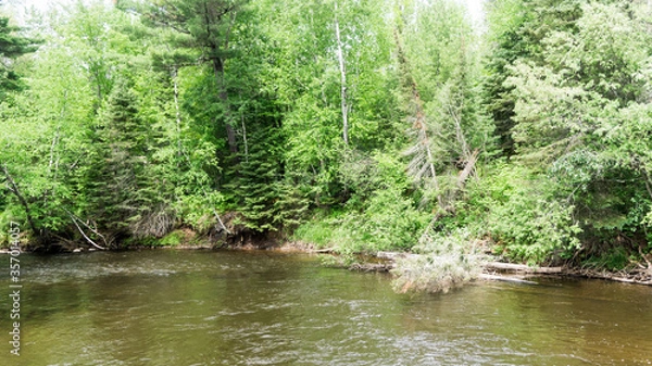 Obraz Wooded river landscape