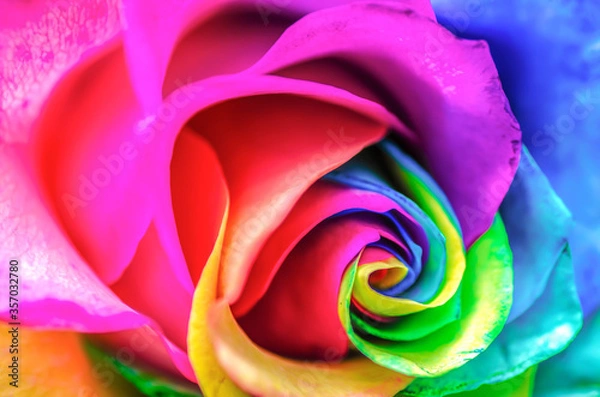 Fototapeta Rainbow Flower