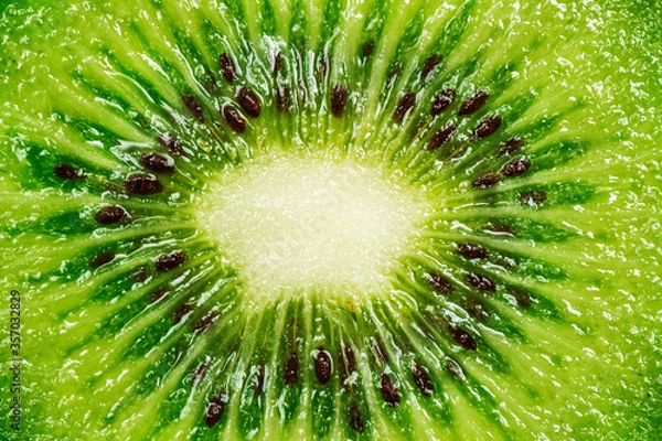 Fototapeta Kiwi