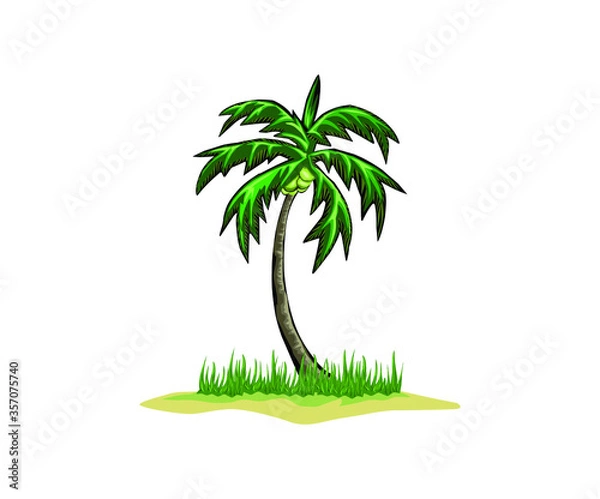 Fototapeta Palm tree vector illustrations