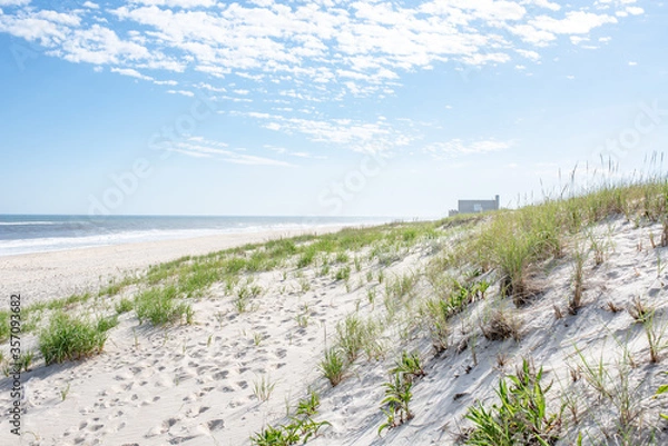 Obraz Sand dunes at the beach
