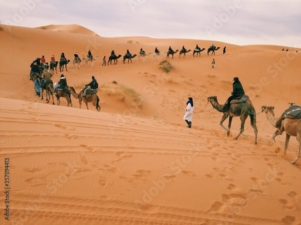 Fototapeta Sahara Desert