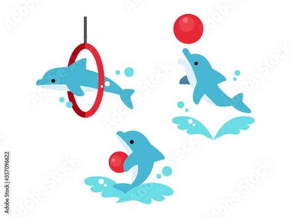 Obraz イルカ　イルカショー　芸