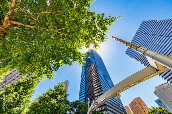 Fototapeta 新緑が綺麗な西新宿高層ビル群