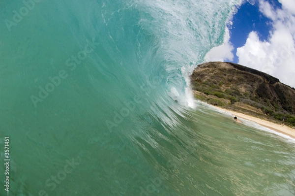 Obraz huge breaking wave in hawaii