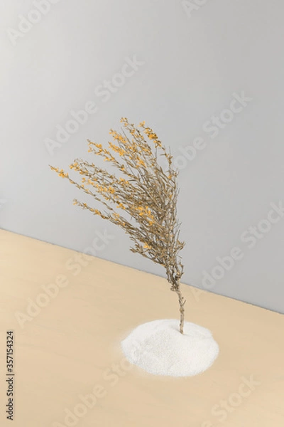 Fototapeta minimalist photo with pastel colors and a branch of a plant