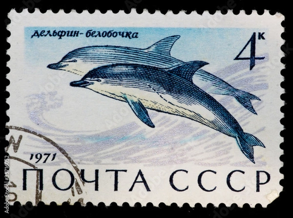 Obraz Postal stamp. Common dolphin, 1971