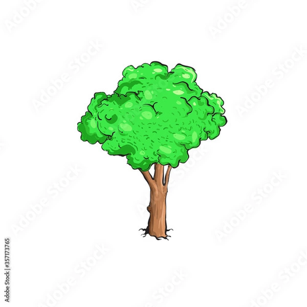 Obraz tree illustration isolated on white