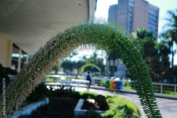 Obraz Arco Verde