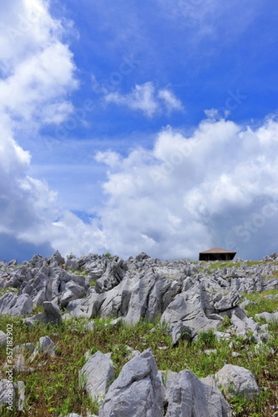 Fototapeta 初夏を迎えた天狗高原（四国カルスト）