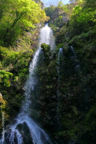 Obraz 清々しい樽の滝（高知県高知市） 