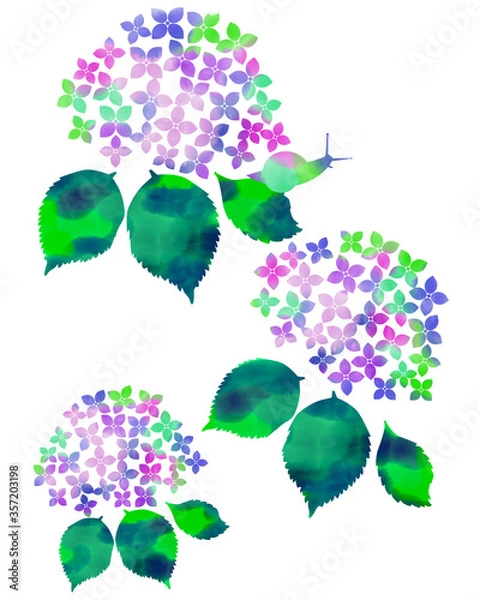 Obraz 紫陽花とカタツムリ