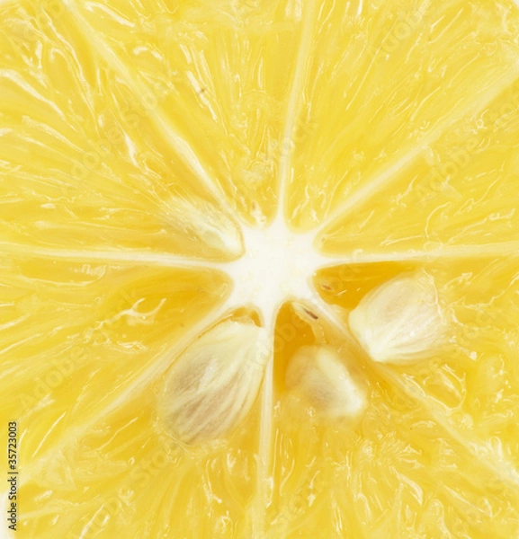 Obraz lemon . macro