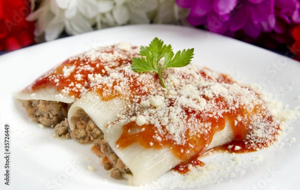 Obraz Ground Beef Cannelloni