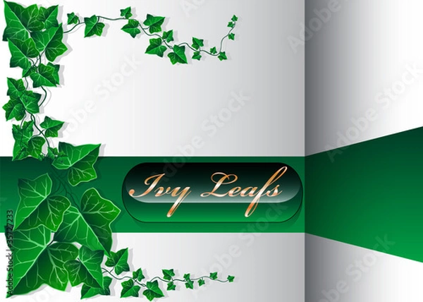 Obraz Beautiful Ivy Leaf Background