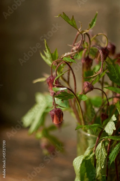 Fototapeta Beautiful photo of wildflowers in a glass with a blurred background.
