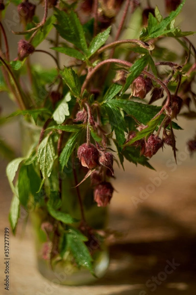 Fototapeta Beautiful photo of wildflowers in a glass with a blurred background.