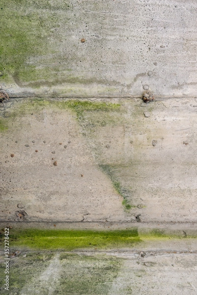 Fototapeta Abstract concrete and algae texture