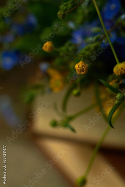 Fototapeta books with flowers close up in vintage style