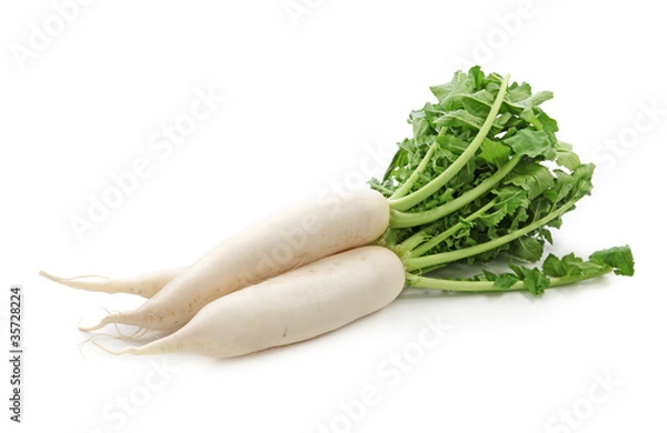 Fototapeta Daikon radishes isolated on white background