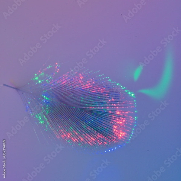 Obraz colourful flame